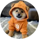 ：狗_：